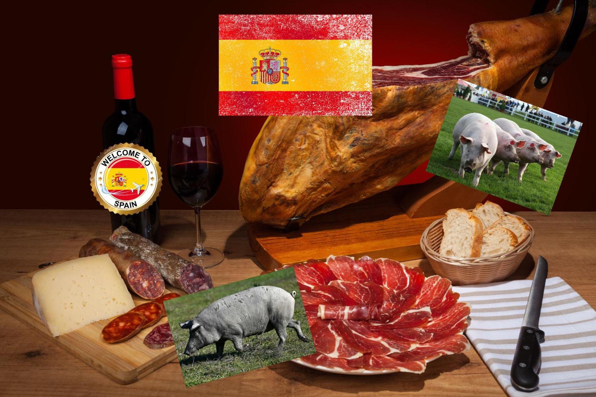 Apartamento Antonio De Alacant Aaa Lejlighed Alicante Eksteriør billede